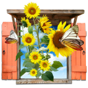 Flowers Sunflowers Window Emoticon